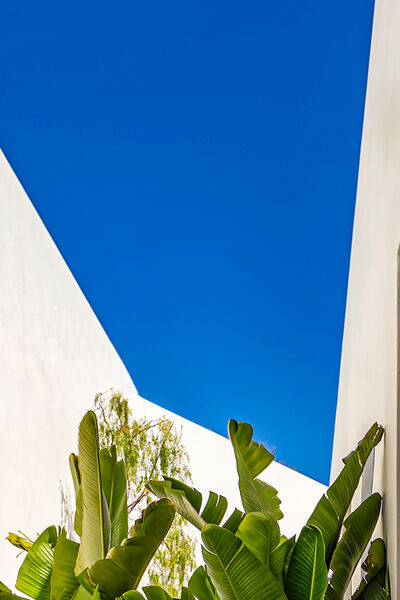 Architectural corner with cactus garden
