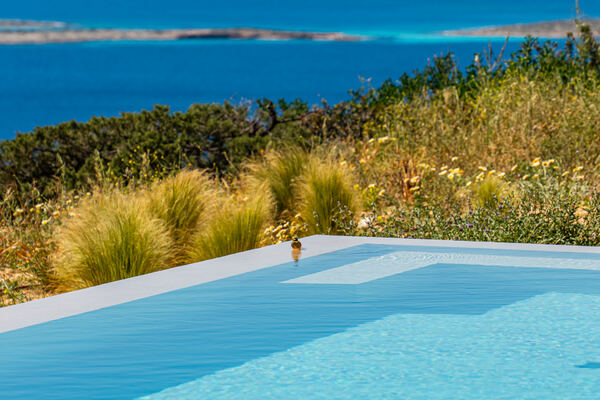 Aerial view of a guest swimming in the pool