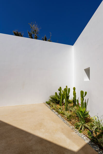 Whitewashed architectural detail with cacti