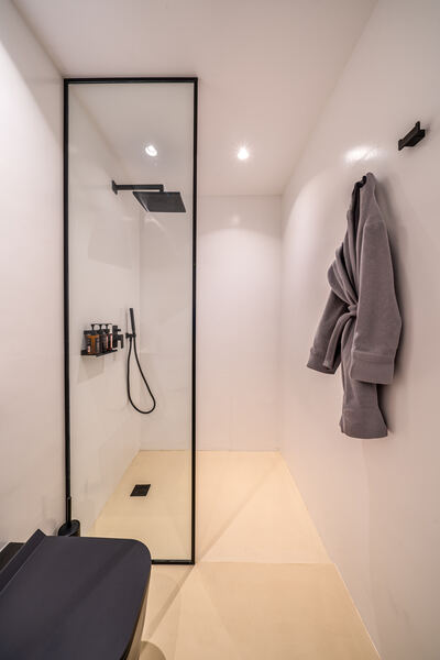 En-suite bathroom with walk-in shower