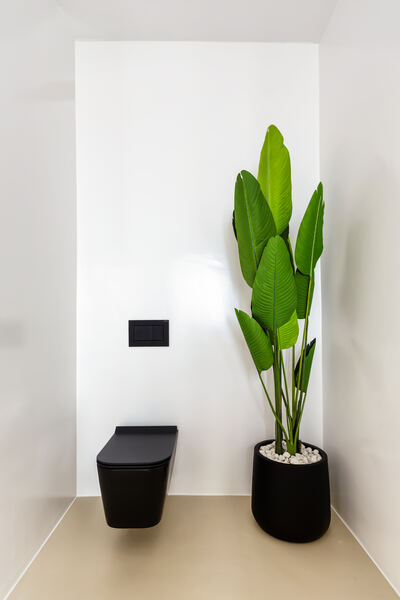 Powder room with planting