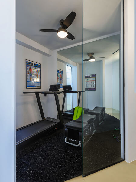 Mini gym with treadmill and exercise equipment