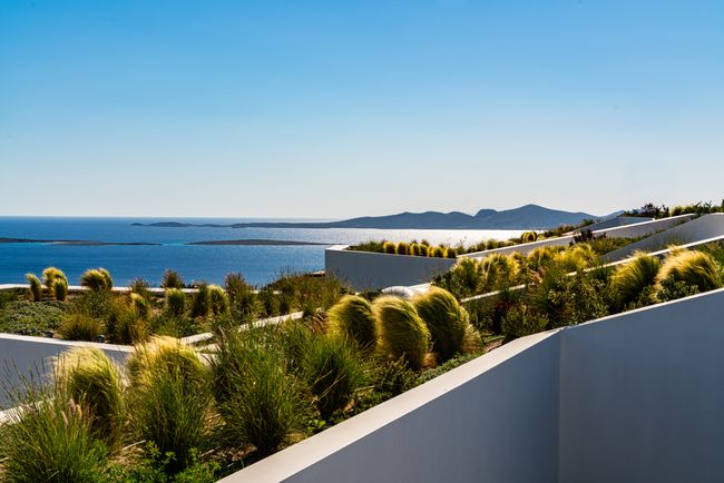 Terraced garden roof overlooking the sea and islands